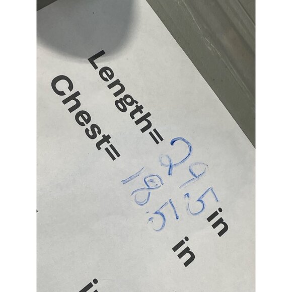 Eileen Fisher Shell Top Size Medium Petite Embroidered Sheer Silk Georgette NEW - Picture 5 of 8